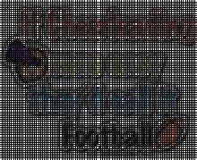 Xcel 360 "Sports & Activity Center" image 6