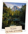 Yosemite Mariposa County Tourism Bureau logo