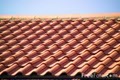 Your Painting Contractor - Painting Contractor Dr Renovation image 4