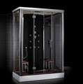 eSteamShower Inc image 7