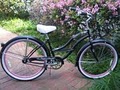 mybeachcruiser image 6