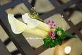 A Ming Rose Florist image 4