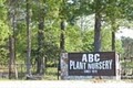ABC Plant Nursery & Garden image 5