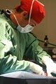 AVSEC Veterinary Surgery Service image 4