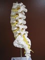 Advanced Chiropractic image 3