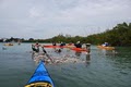 Adventure Kayak Outfitters Tours & Rentals image 2