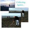 Agates of the Oregon Coast - FACETS image 2