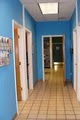 All Pets Veterinary Hospital image 2