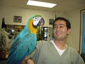 All Pets Veterinary Hospital image 3