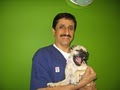 All Pets Veterinary Hospital image 4