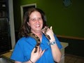 All Pets Veterinary Hospital image 7