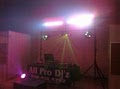 All Pro Entertainment - All Occasions including: Punjabi, American, Schools image 3