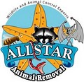 Allstar Animal Removal logo