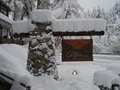 Alps Boulder Canyon Inn image 3