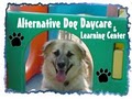 Alternative Dog Daycare & Learning Center image 1