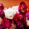 Ambiance Chic Wedding Designs (By Appointment Only) logo