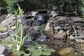 American Aquascapes Watergardens Inc. image 6
