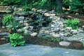 American Aquascapes Watergardens Inc. image 8