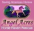 Angel Acres Horse Haven Rescue image 1
