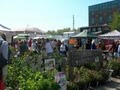 Ann Arbor Farmers Market image 2