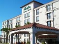 Antonian Inn & Suites image 1