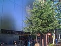 Apple Store The Grove image 4