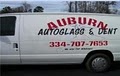 Auburn Auto Glass image 3