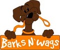 Barks n' Wags Dog Walking and Pet Sitting Tampa, FL! logo