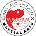 Bay-Mountain Martial Arts image 4