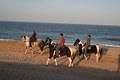 Beach Horseback Rides with Country Carriages logo