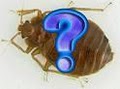 Bed Bugs Control Oakland CA FREE Inspection logo