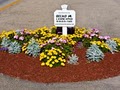 Belko Landscaping image 5