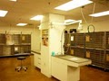 Berclair Downtown Animal Hospital image 5
