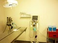 Berclair Downtown Animal Hospital image 9