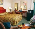 Best Western Rockland image 9