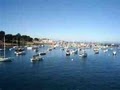 Best Western Salinas Monterey Hotel image 7