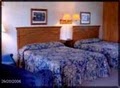 Bingham Motor Inn image 5