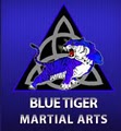 Blue Tiger Martial Arts image 1