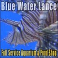 Blue Water Lance image 3