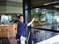 Brad's Window Cleaning image 1