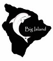 C Big Island image 2