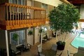 C'mon Inn Hotel of Thief River Falls image 6