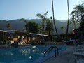 Camp Palm Springs Men S Resort image 2