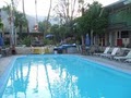 Camp Palm Springs Men S Resort image 4