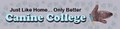 Canine College image 1