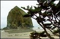 Cannon Beach Chamber of Commerce image 4
