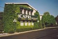 Capri Hair Institute logo