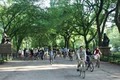 Central Park Bike Tours and Rentals image 5
