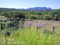 Cerrillos Hills Bed and Breakfast image 7
