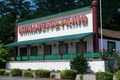 China Buffet King logo